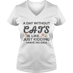 A Days Without Cats Is Like Just Kidding I Have No Idea White Version Ladies Vneck