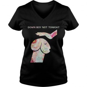 Down Boy Not Tonight Flower Dickhead Dog Noma Bar Ladies Vneck