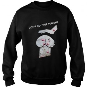 Down Boy Not Tonight Flower Dickhead Dog Noma Bar youth Sweatshirt