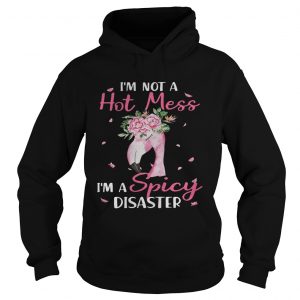 Flamingo Im not a hot mess Im a spicy disaster Hoodie