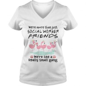 Flamingo were more than just social worker friends were like a really small gang Ladies Vneck