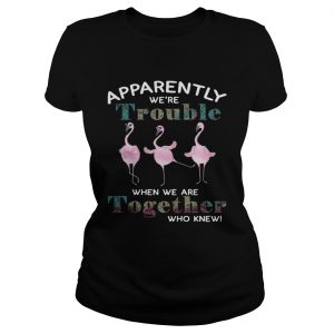 Flamingos apparently were trouble when we are together who knew Ladies Tee