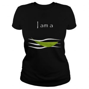 I am a leaf on the wind Ladies Tee