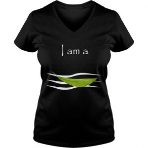 I am a leaf on the wind Ladies Vneck