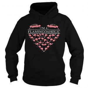 Im a flamingoaholic Hoodie