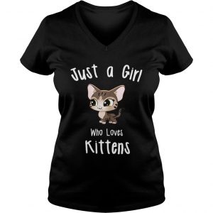 Just A Girl Who Loves Kittens Ladies Vneck