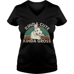 Kinda cute Kinda gross vintage sunset Ladies Vneck