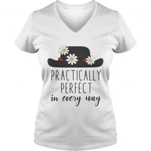 Practically Perfect in every way Ladies Vneck