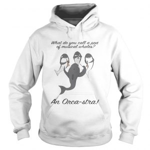 What do you call a pod of musical whales and OrcaStra Hoodie