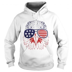 Bald Eagle American Flag Aviator Glasses Hoodie