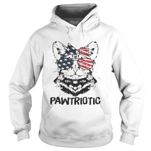 Cat with American flag sunglasses pawtriotic Hoodie