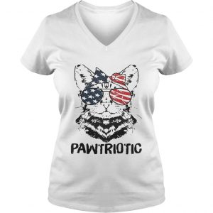 Cat with American flag sunglasses pawtriotic Ladies Vneck