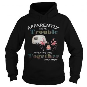 Flamingo camping Apparently were trouble when we are together who knew Hoodie