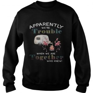 Flamingo camping Apparently were trouble when we are together who knew Sweatshirt