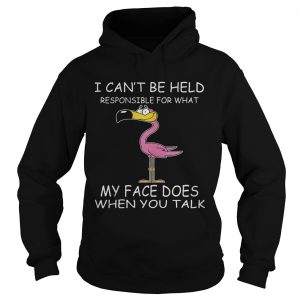 Flamingo I Cant Be Held Responsible For What My Face Does When You Talk Hoodie