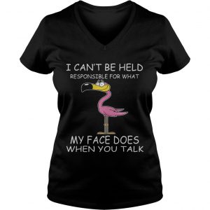 Flamingo I Cant Be Held Responsible For What My Face Does When You Talk Ladies Vneck