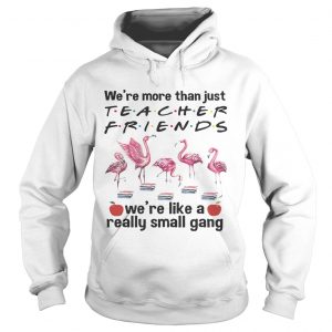 Flamingo Were more than just teacher friends were like a really small gang Hoodie