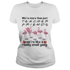 Flamingo Were more than just teacher friends were like a really small gang Ladies Tee