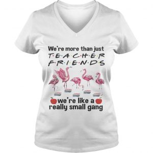 Flamingo Were more than just teacher friends were like a really small gang Ladies Vneck