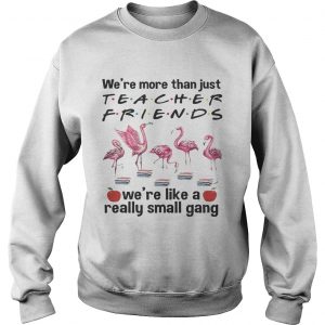 Flamingo Were more than just teacher friends were like a really small gang Sweatshirt