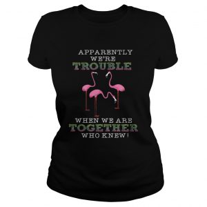 FlamingoApparently Were Trouble When We Are Together Ladies Tee