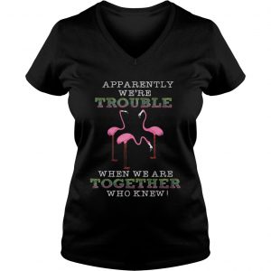 FlamingoApparently Were Trouble When We Are Together Ladies Vneck
