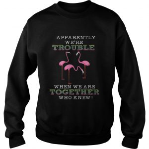 FlamingoApparently Were Trouble When We Are Together SweatShirt