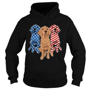 Golden Retriever Flag Hoodie