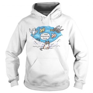 In Memory Grumpy Cat I was expecting more Hoodie