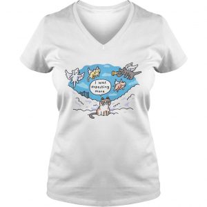 In Memory Grumpy Cat I was expecting more Ladies Vneck