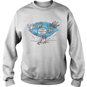 In Memory Grumpy Cat I was expecting more Sweatshirt