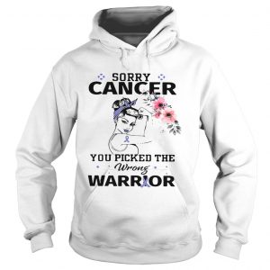 Strong girl sorry cancer you picked the wrong warrior Hoodie